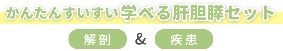 かんたんすいすい学べる肝胆膵セット　解剖＆疾患