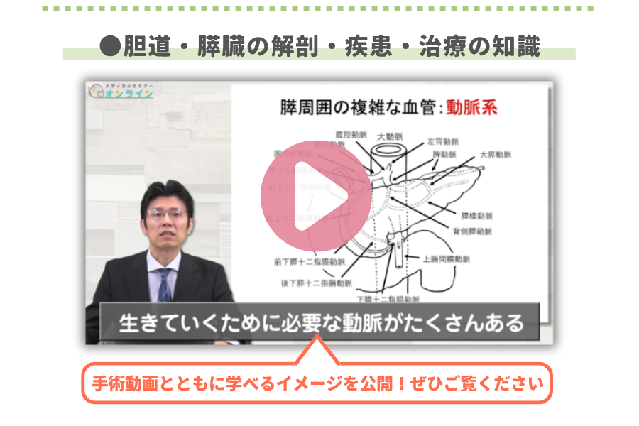 胆道・膵臓の解剖・疾患・治療の知識