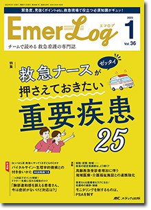 Emer-Log（エマログ）2023年1号