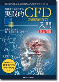 基礎からよくわかる　実践的CFD（数値流体力学）入門　脳血管編
