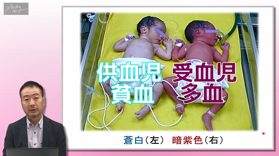 裁断済 ベッドサイドの新生児の診かた 持ち歩こ