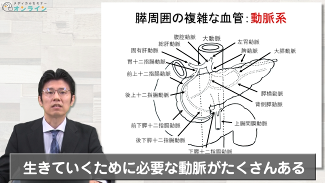 胆道・膵臓の解剖・疾患・治療の知識　【スライド資料ダウンロード】