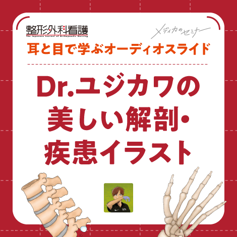 耳と目で学ぶオーディオスライド「Dr.ユジカワの美しい解剖・疾患イラスト」