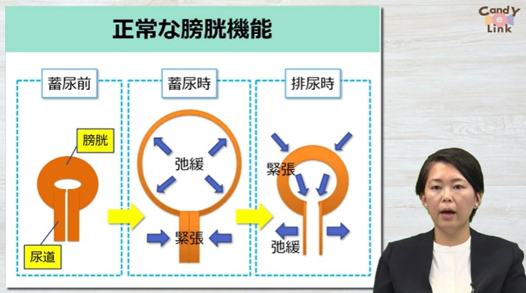 病棟看護師による排尿自立支援のための排尿ケア